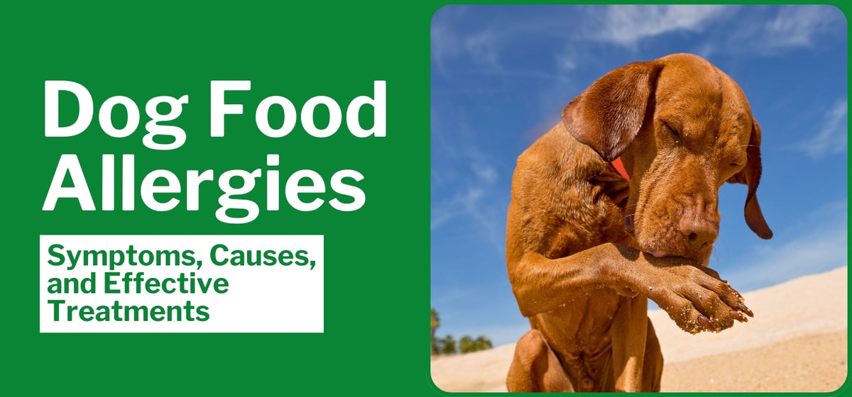 Fresh Look at Dog Food Allergies Symptoms Causes And Effective Treatments