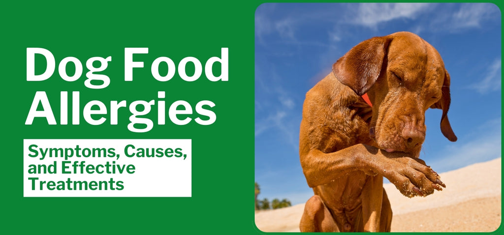 Dog Food Allergies: Symptoms, Causes, and Effective Treatments