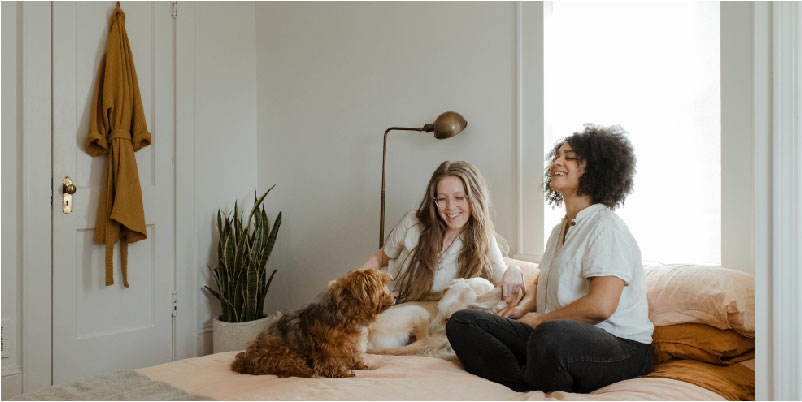 Top Tips To Prepare For Dog Adoption
