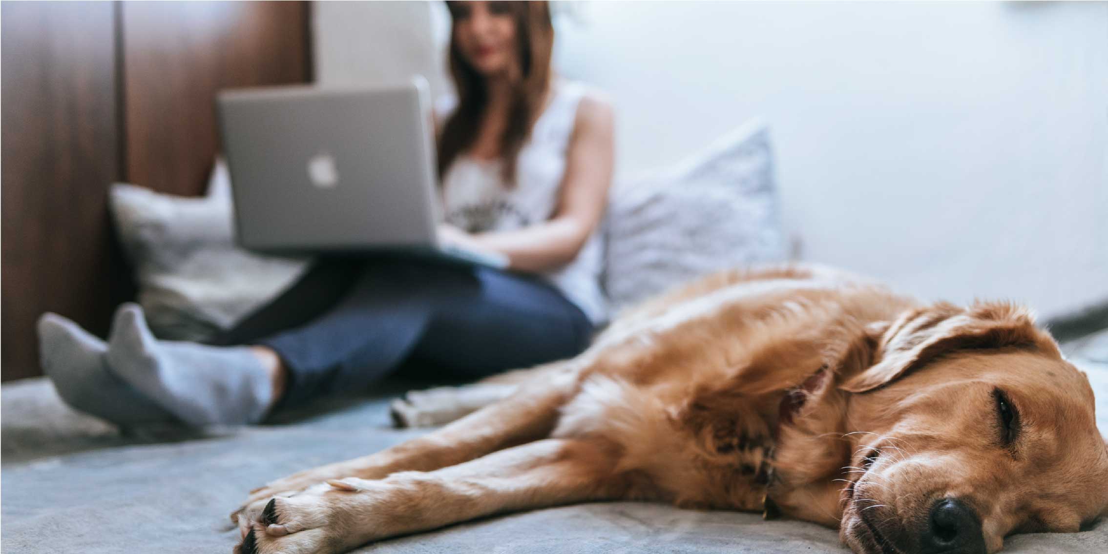 Coronavirus And Your Dog