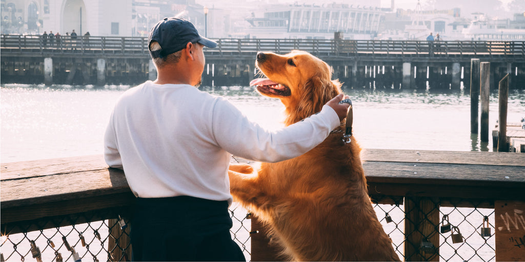 5 Amazing Ways Dogs Can Help Your Mental Health