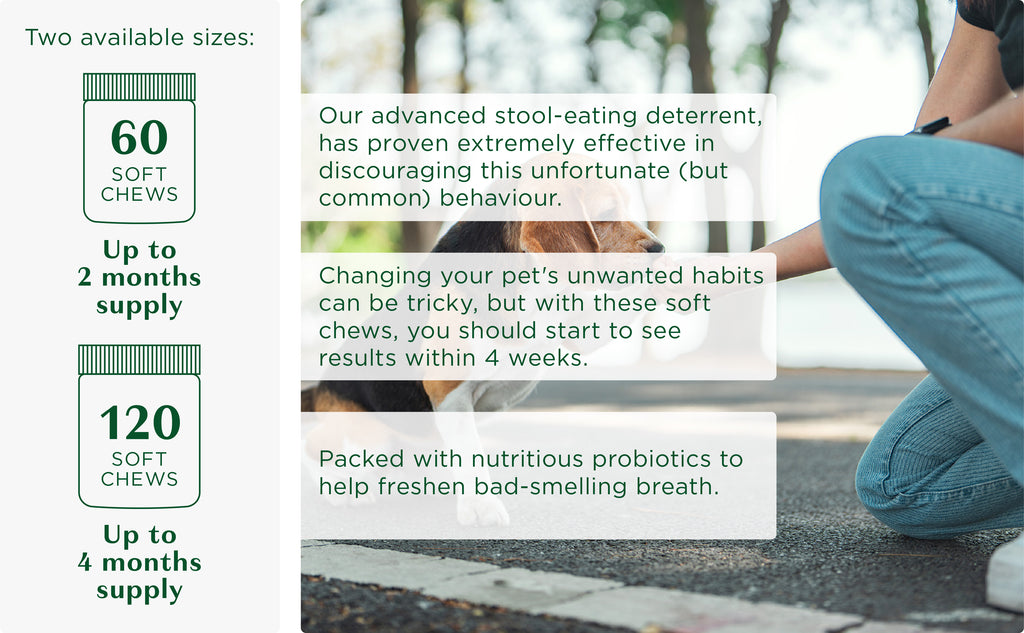 Coprophagia Soft Chews - Stool Eating Deterrent