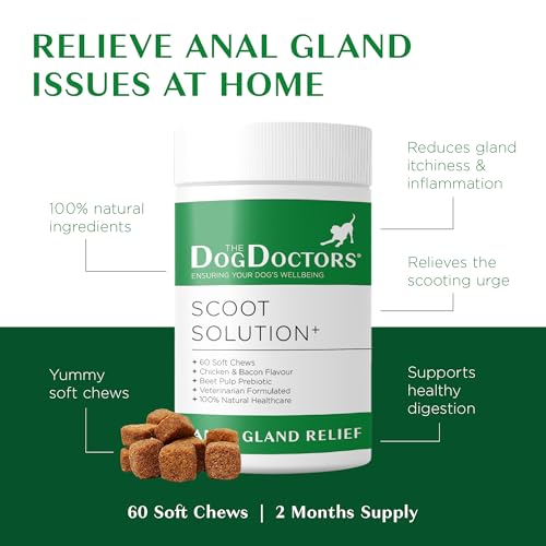 Scoot Solution - Anal Gland Relief