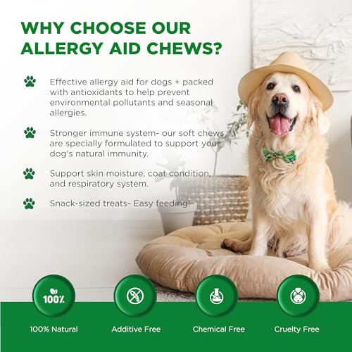 Allergy Aid - Antioxidant Soft Chews