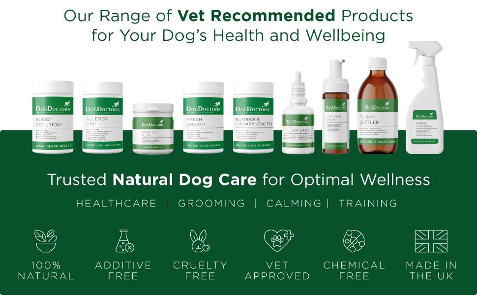 Clear Ears - Cleaning Solution