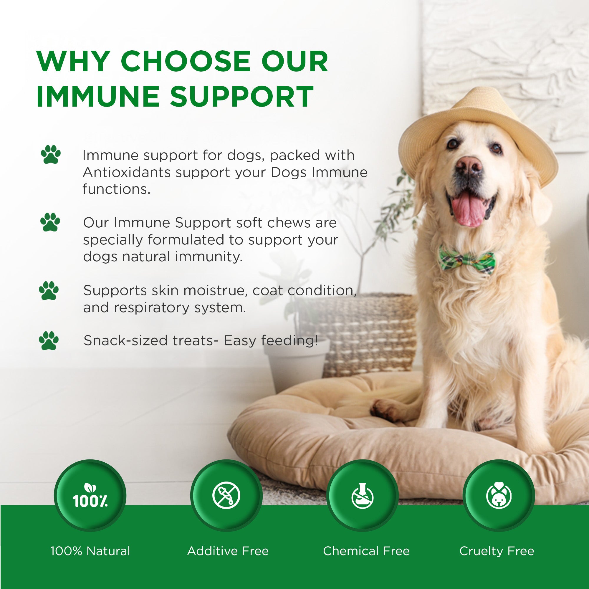 Immune Support- Antioxidant Soft Chews