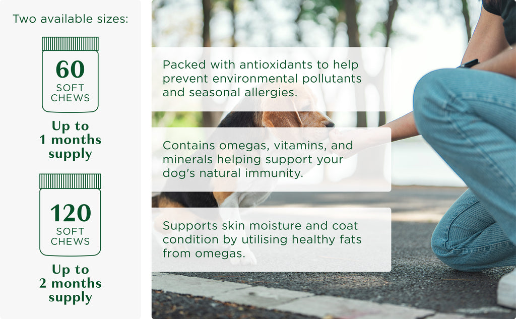 Allergy Aid - Antioxidant Soft Chews