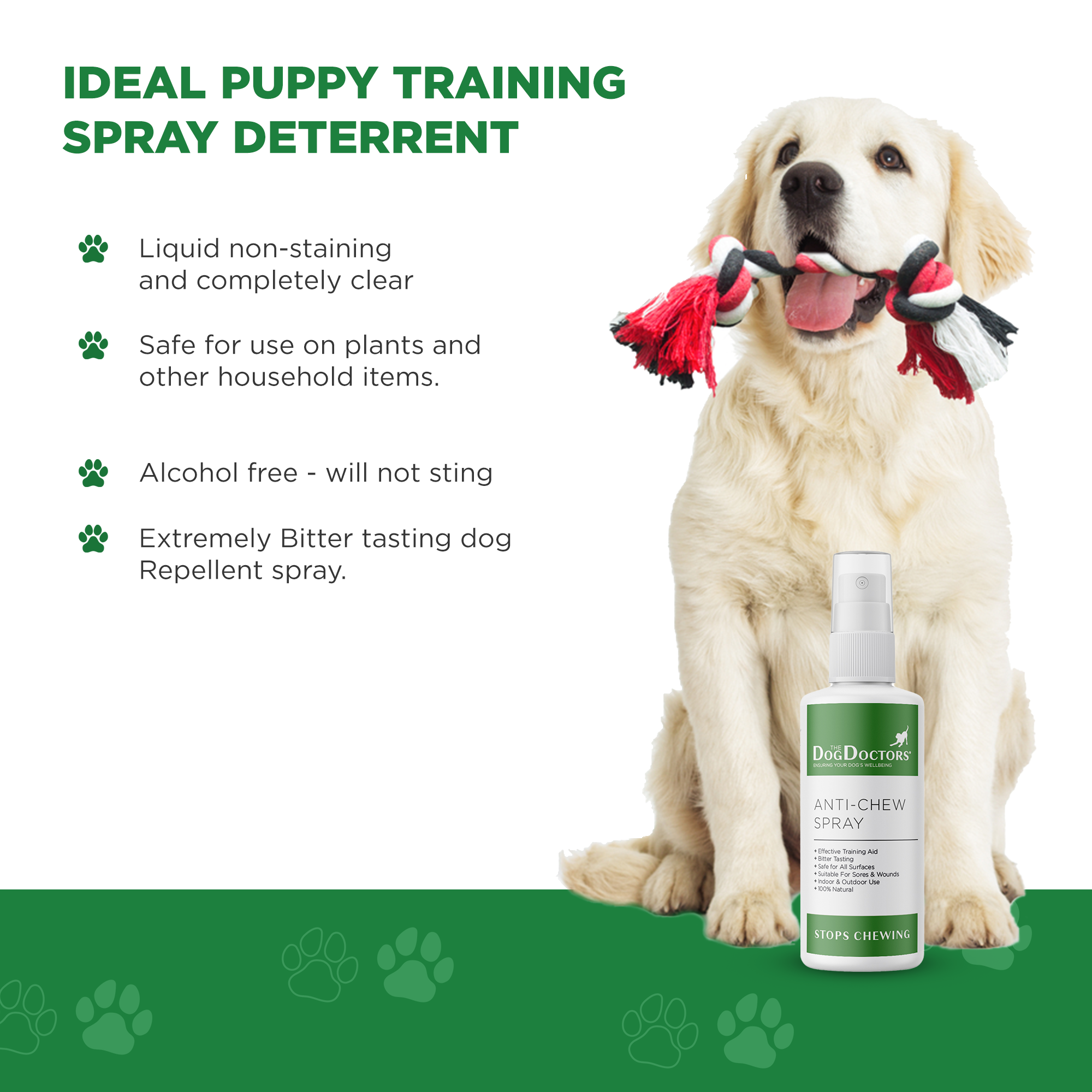 Anti Chew Spray for Dogs The Dog Doctors