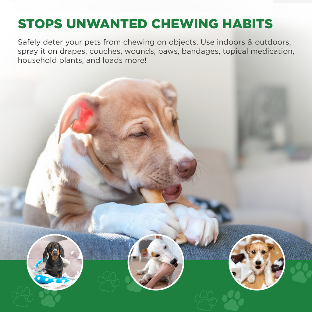 Anti Chew Spray - Stops Chewing