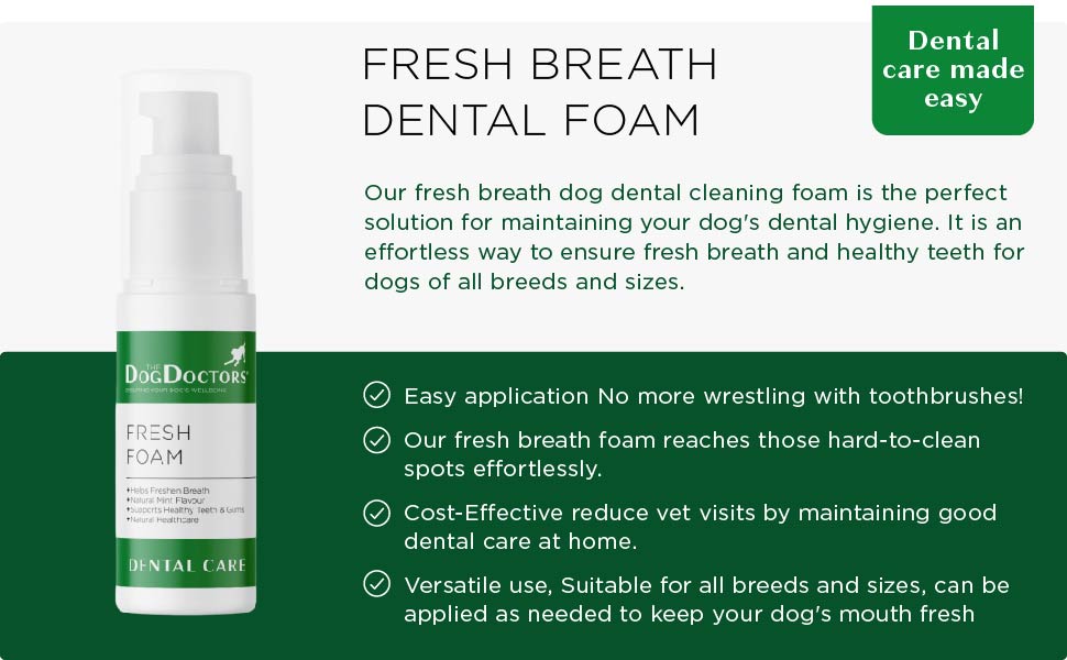 Fresh Foam - Dental Care