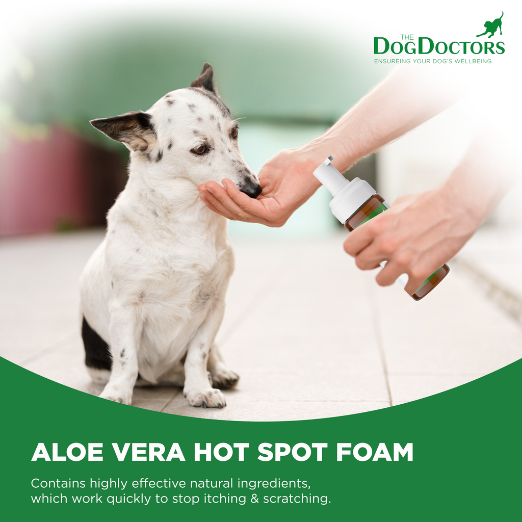 Hot Spot Foam - Cooling Aloe Vera