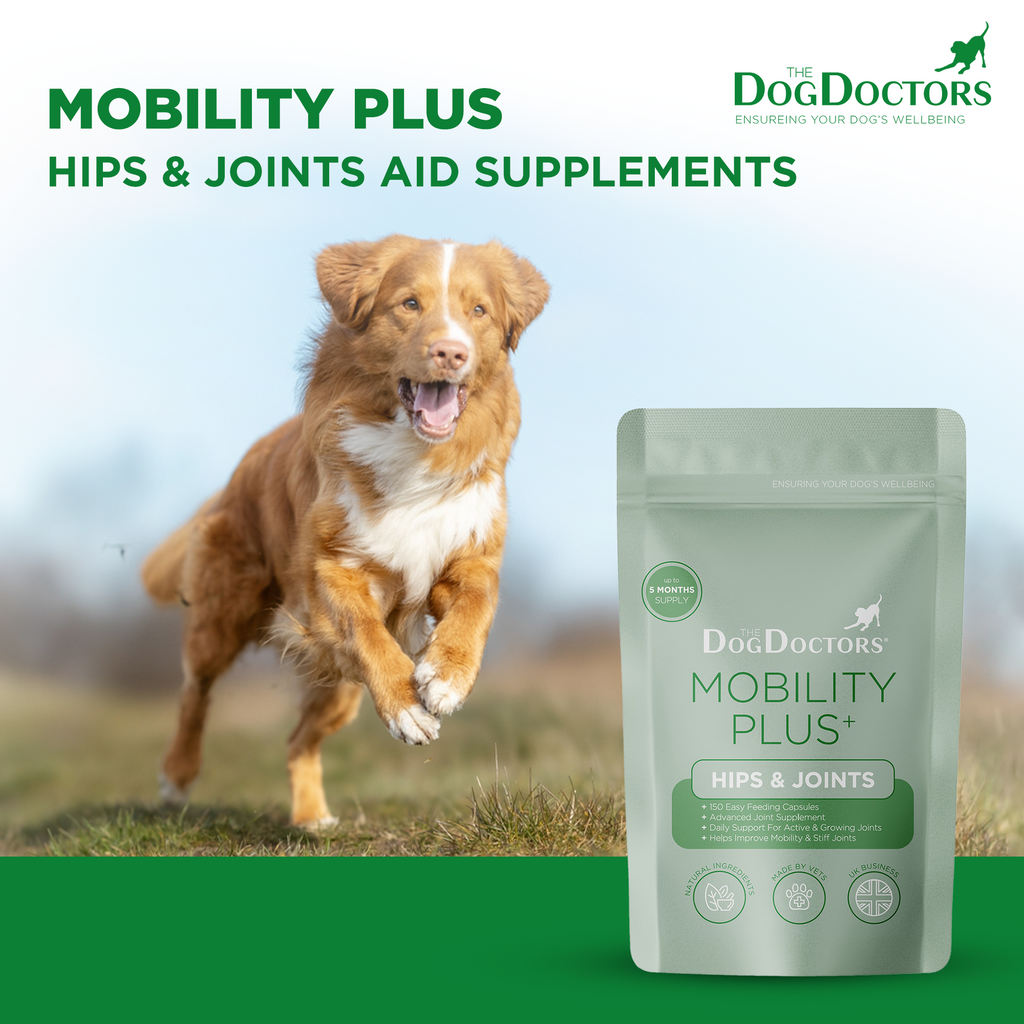 Mobility Plus - Hips & Joints 800mg Capsules