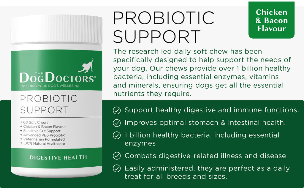 Probiotic Support - Digestive Health