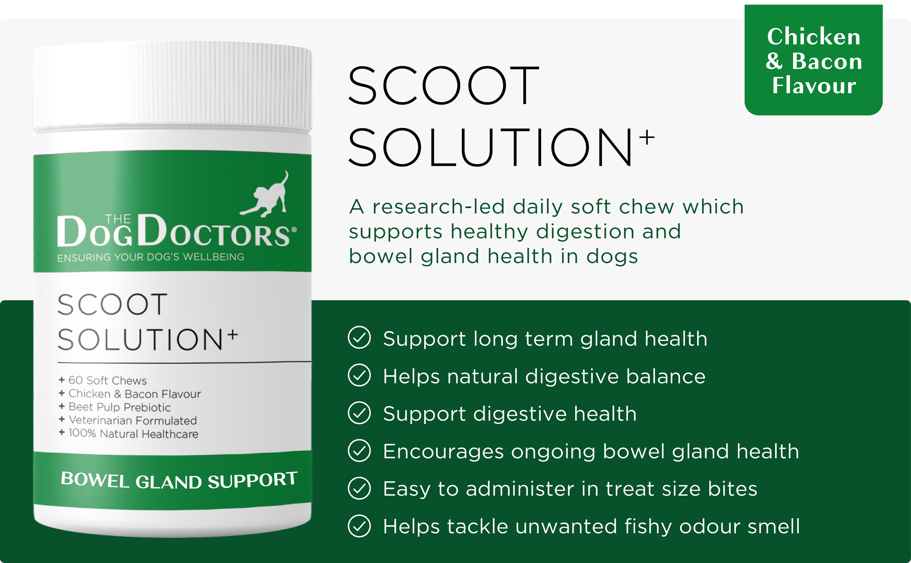 Scoot Solution - Anal Gland Support