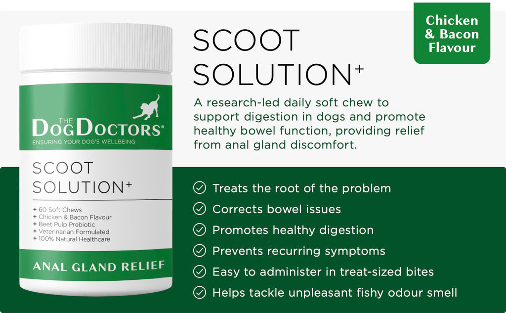 Scoot Solution - Anal Gland Relief