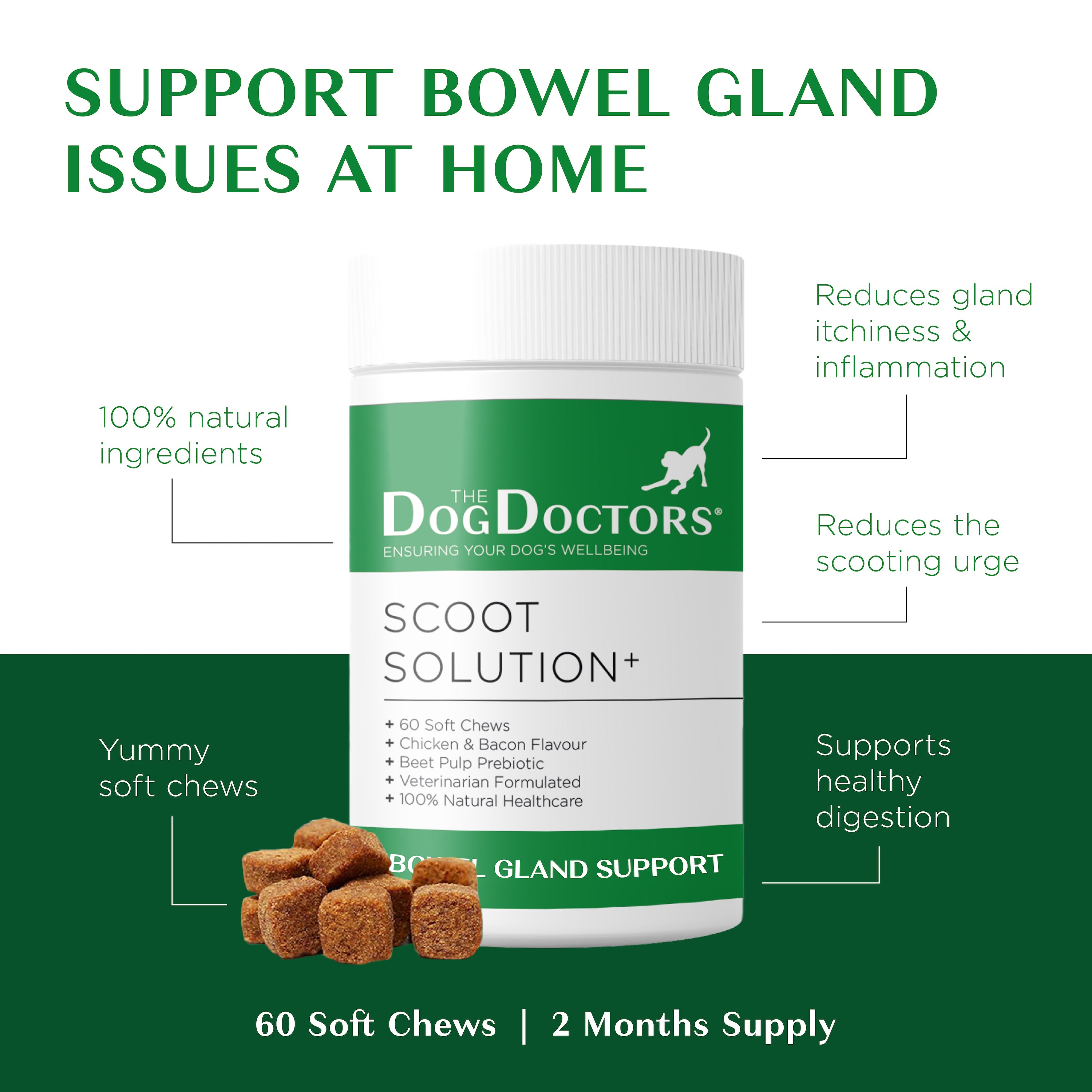 Scoot Solution - Anal Gland Support