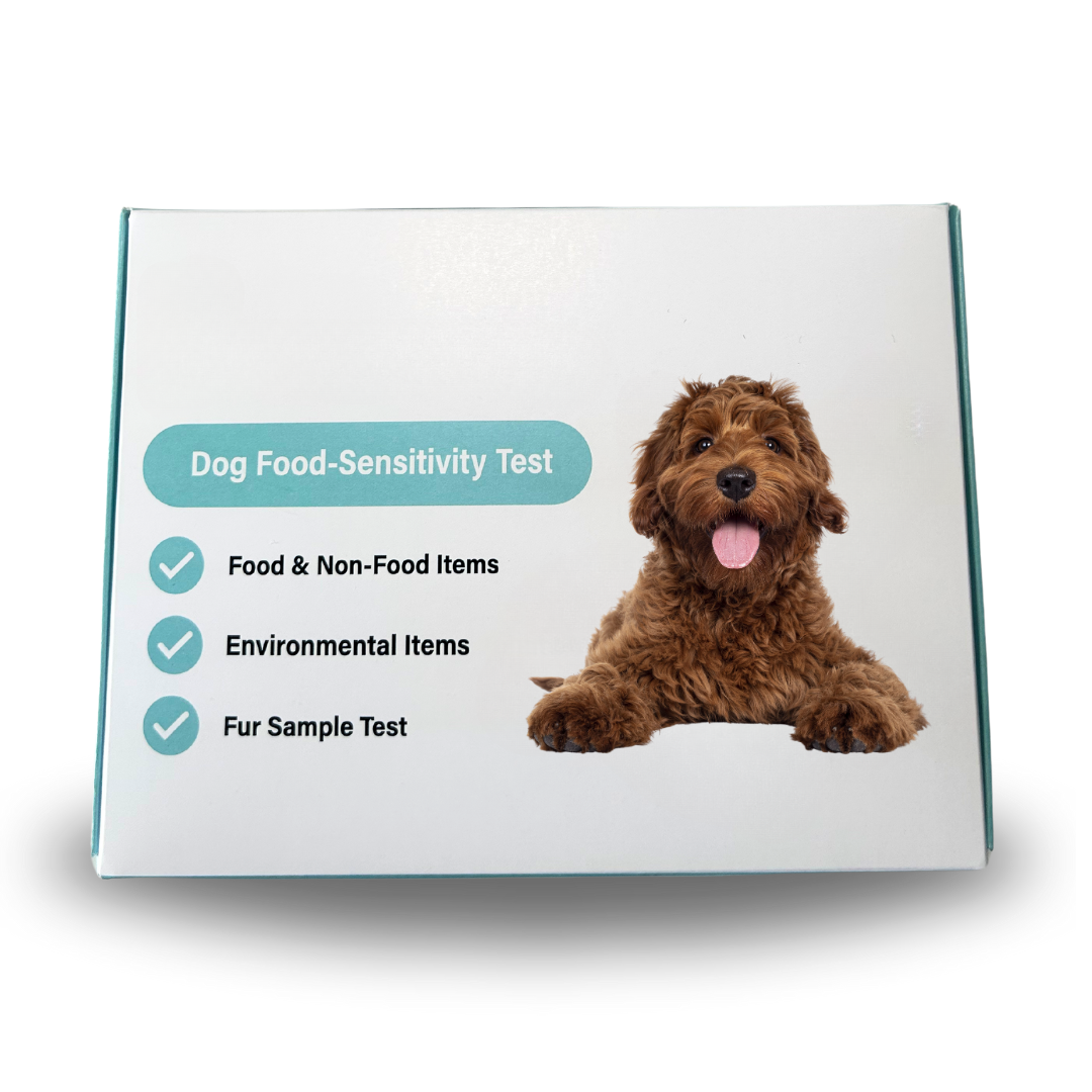 Dog Food-sensitivity Test 