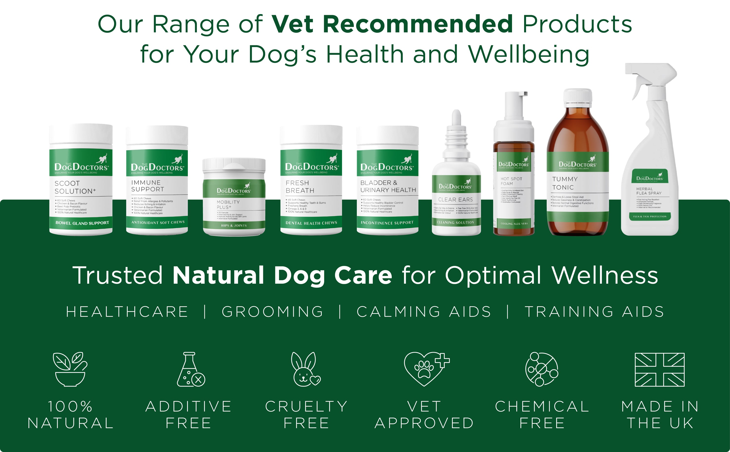 Immune Support- Antioxidant Soft Chews