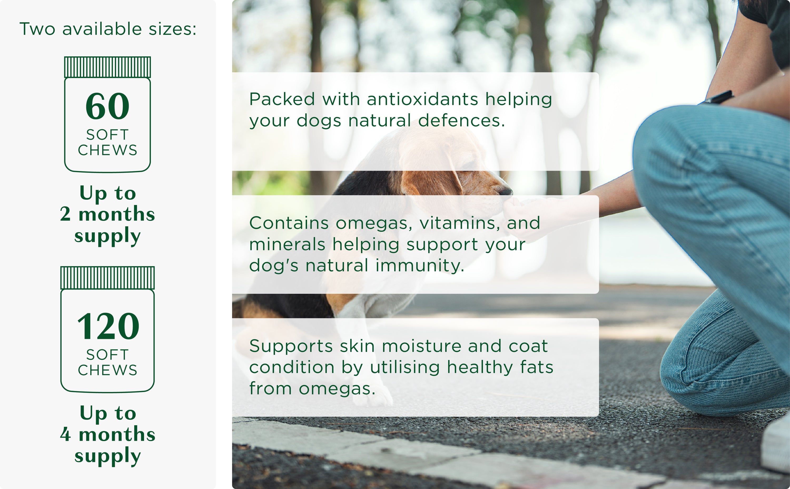 Immune Support- Antioxidant Soft Chews