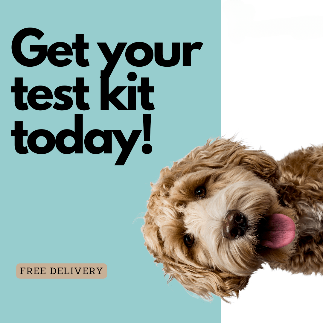 Dog Food-Sensitivity Test