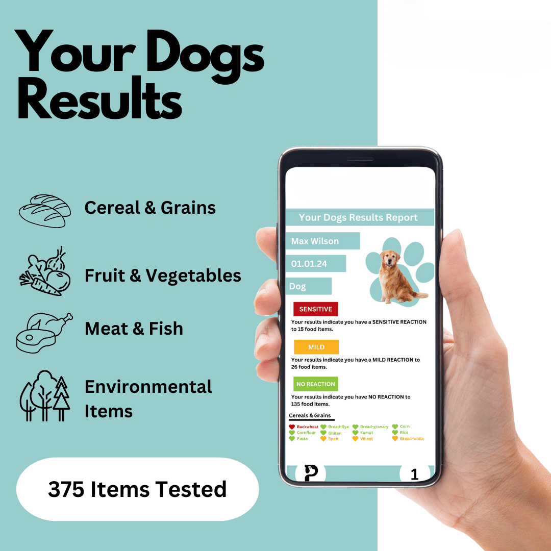 Dog Food-sensitivity Test 