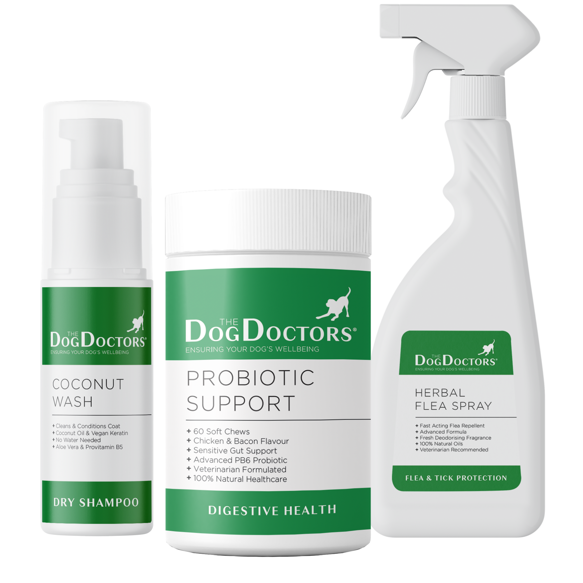 Summer Wellness Bundle