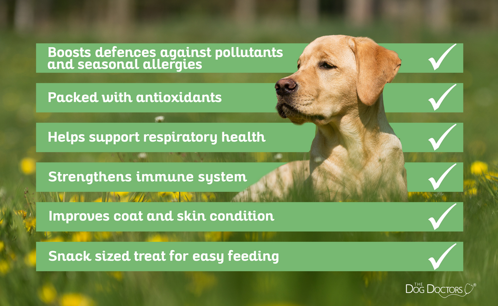 Allergy Aid Treat Bites for Dogs | Allergy Relief Antioxidant Soft Chews