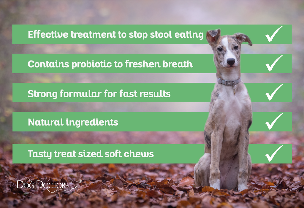 Coprophagia Stool Eating Deterrent Treat Bites | The Dog Doctors