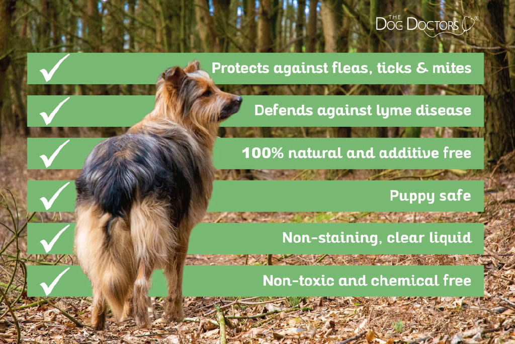 Natural Flea, Ticks & Mites Repellant Treatment Spray for Dogs