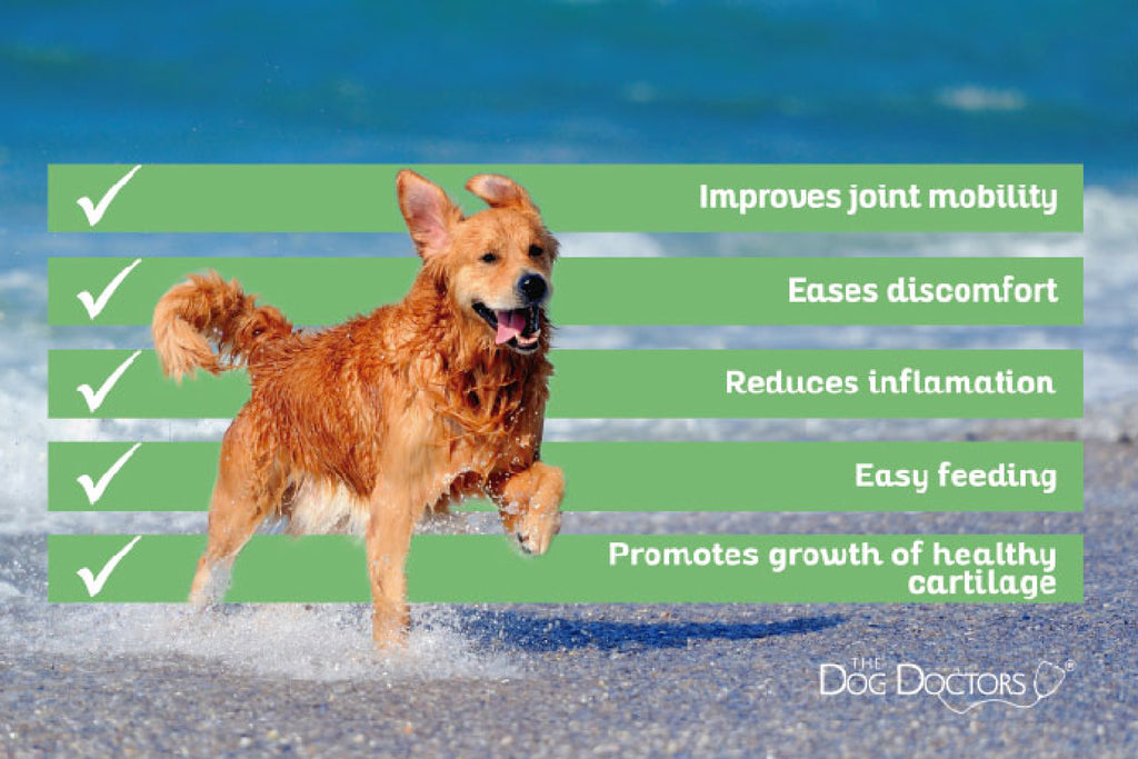 Mobility Plus Hip & Joint Supplement for Dogs