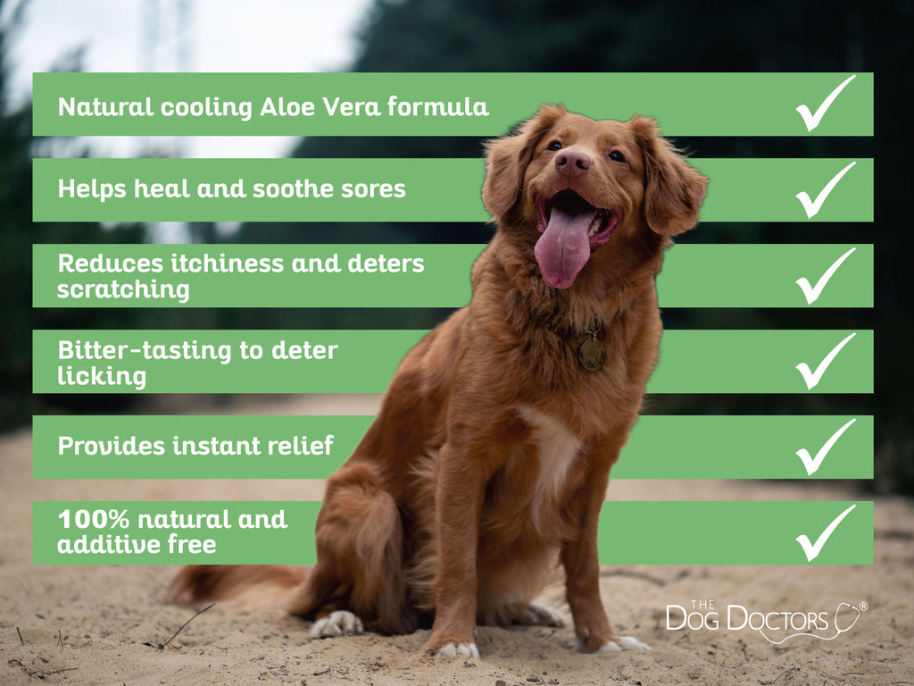 Hot Spot Foam For Dogs - Aloe Vera Cooling Treatment