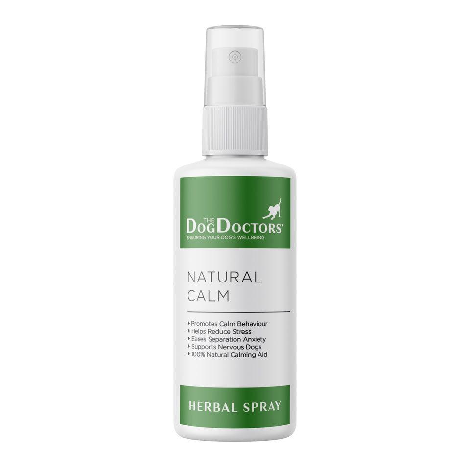 Natural Calming Aids for Dogs