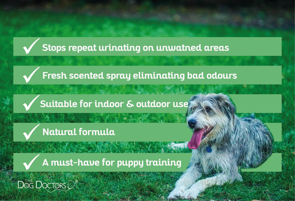 Natural Urine Prevention Spray For Dogs & Pets