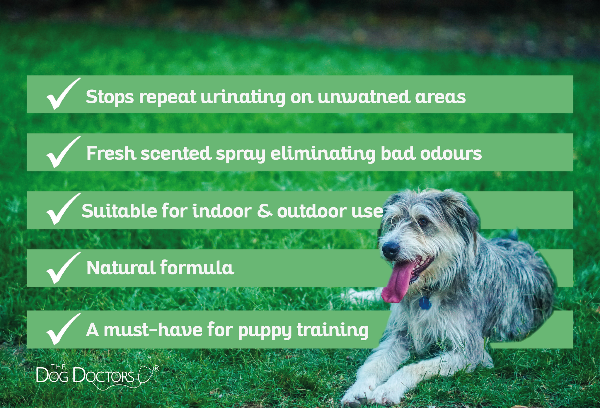 Dog urine deterrent clearance spray