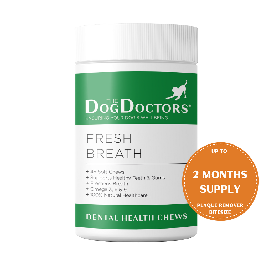 Fresh Breath - Dental Health Soft Chews