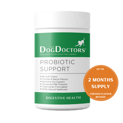 Probiotic Support - Digestive Health