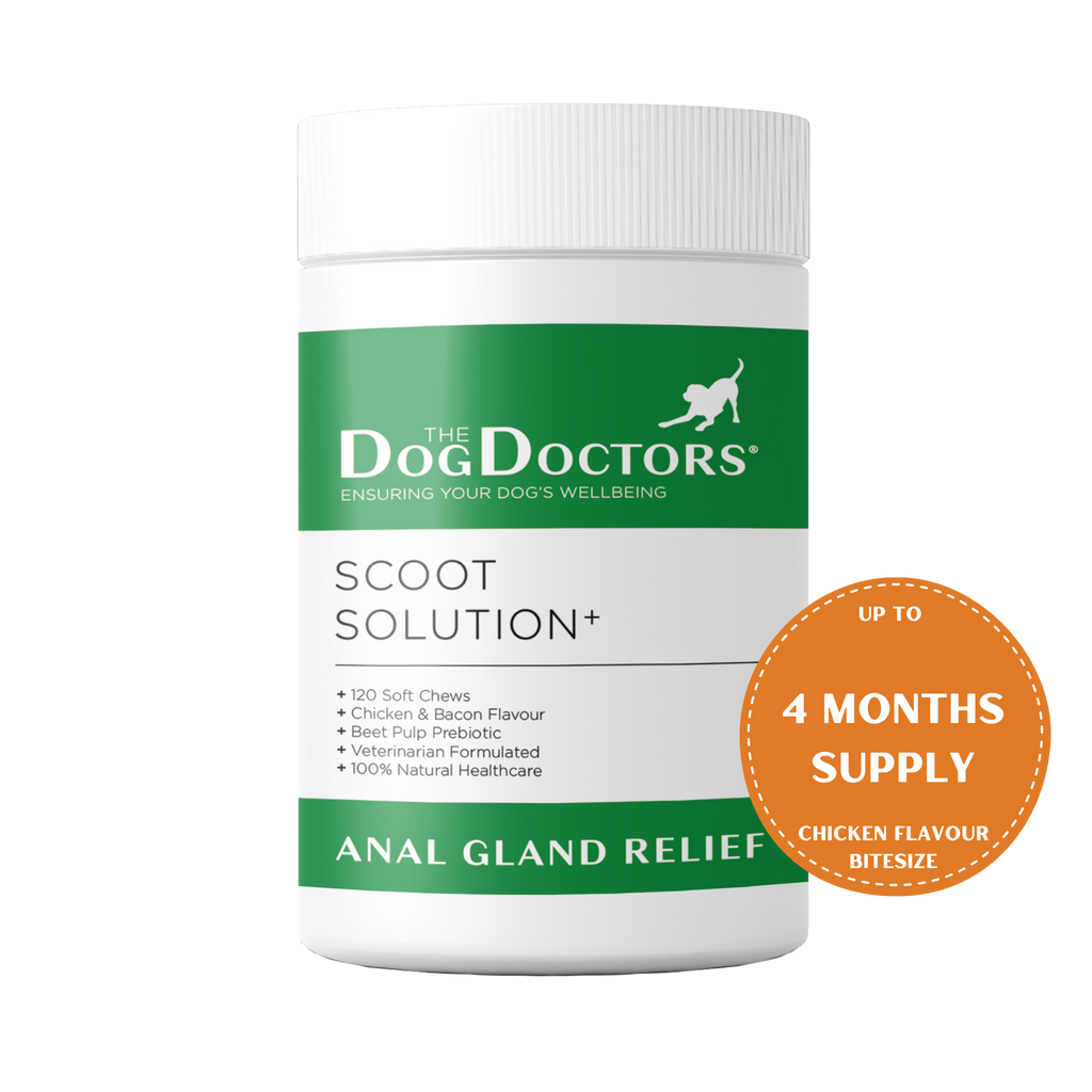 Scoot Solution - Anal Gland Relief