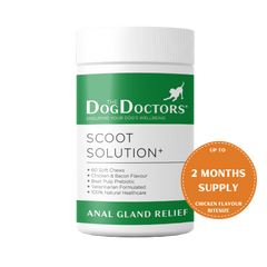 Scoot Solution - Anal Gland Relief